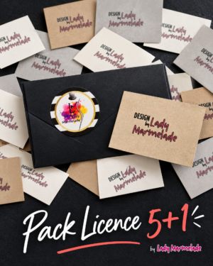 Pack Licence 5+1